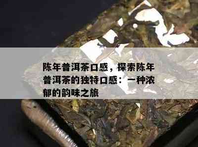 陈年普洱茶口感，探索陈年普洱茶的独特口感：一种浓郁的韵味之旅