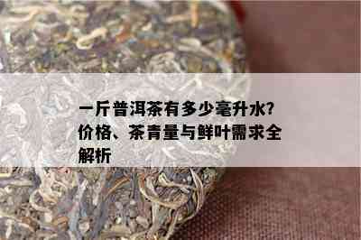 一斤普洱茶有多少毫升水？价格、茶青量与鲜叶需求全解析