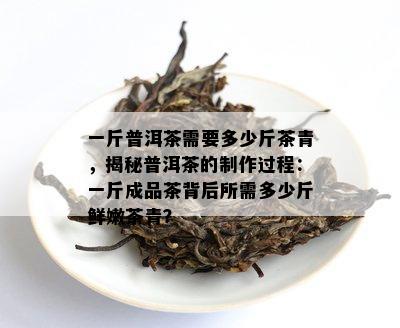 一斤普洱茶需要多少斤茶青，揭秘普洱茶的制作过程：一斤成品茶背后所需多少斤鲜嫩茶青？