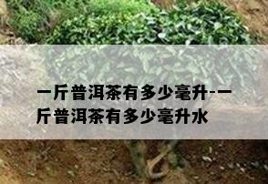 一斤普洱茶有多少毫升-一斤普洱茶有多少毫升水