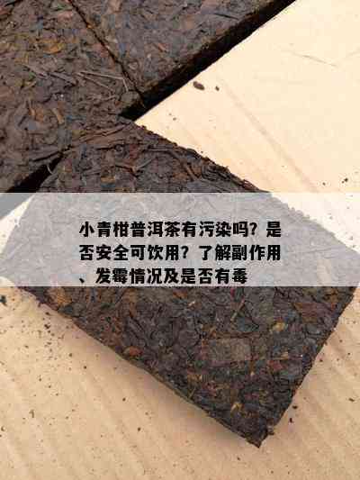 小青柑普洱茶有污染吗？是否安全可饮用？了解副作用、发霉情况及是否有