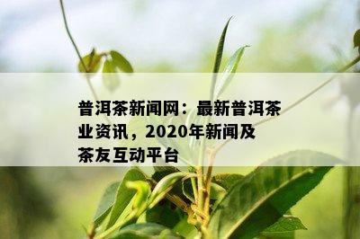 普洱茶新闻网：最新普洱茶业资讯，2020年新闻及茶友互动平台