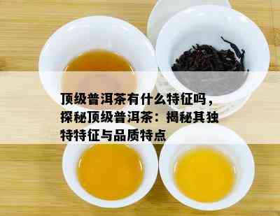 顶级普洱茶有什么特征吗，探秘顶级普洱茶：揭秘其独特特征与品质特点