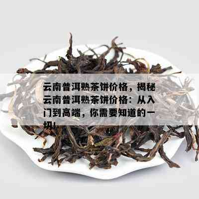 云南普洱熟茶饼价格，揭秘云南普洱熟茶饼价格：从入门到高端，你需要知道的一切！