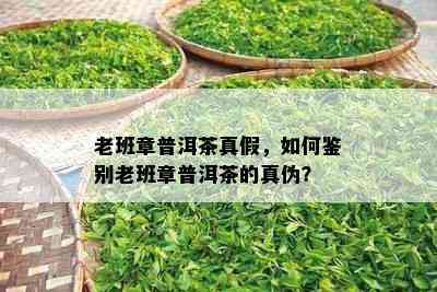 老班章普洱茶真假，如何鉴别老班章普洱茶的真伪？