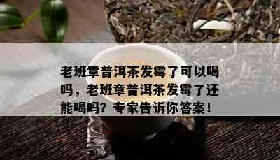 老班章普洱茶发霉了可以喝吗，老班章普洱茶发霉了还能喝吗？专家告诉你答案！