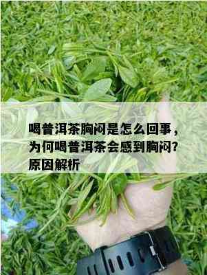 喝普洱茶胸闷是怎么回事，为何喝普洱茶会感到胸闷？原因解析