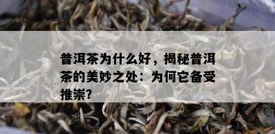 普洱茶为什么好，揭秘普洱茶的美妙之处：为何它备受推崇？