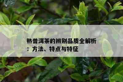 熟普洱茶的辨别品质全解析：方法、特点与特征