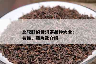 比较野的普洱茶品种大全：名称、图片及介绍