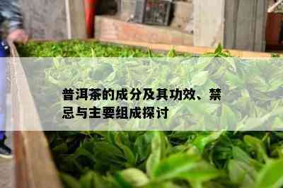 普洱茶的成分及其功效、禁忌与主要组成探讨