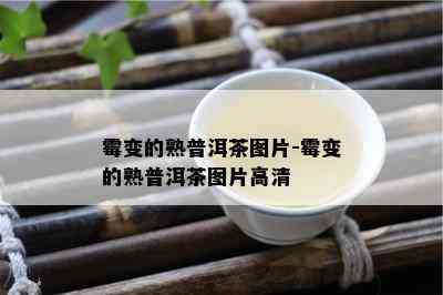 霉变的熟普洱茶图片-霉变的熟普洱茶图片高清