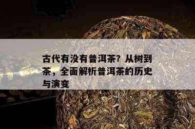 古代有没有普洱茶？从树到茶，全面解析普洱茶的历史与演变