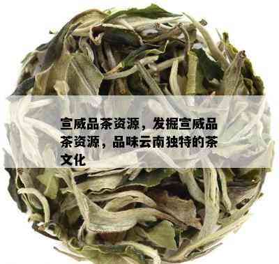 宣威品茶资源，发掘宣威品茶资源，品味云南独特的茶文化