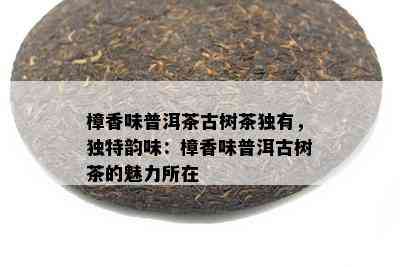 樟香味普洱茶古树茶独有，独特韵味：樟香味普洱古树茶的魅力所在