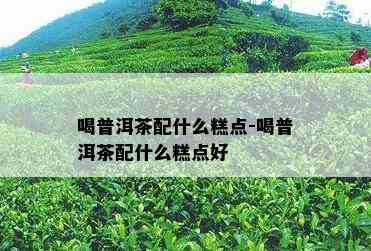 喝普洱茶配什么糕点-喝普洱茶配什么糕点好