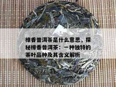 樟香普洱茶是什么意思，探秘樟香普洱茶：一种独特的茶叶品种及其含义解析