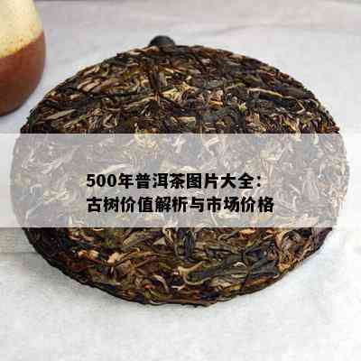 500年普洱茶图片大全：古树价值解析与市场价格