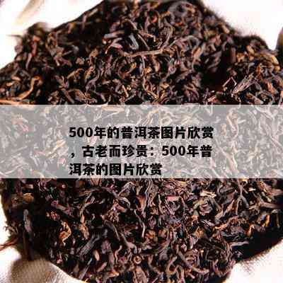 500年的普洱茶图片欣赏，古老而珍贵：500年普洱茶的图片欣赏