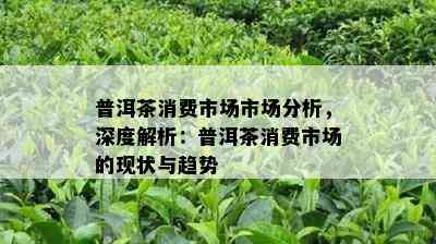 普洱茶消费市场市场分析，深度解析：普洱茶消费市场的现状与趋势