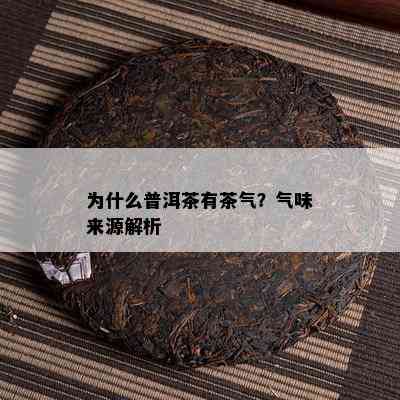 为什么普洱茶有茶气？气味来源解析