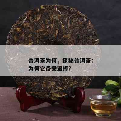 普洱茶为何，探秘普洱茶：为何它备受追捧？