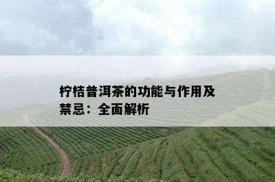 柠桔普洱茶的功能与作用及禁忌：全面解析