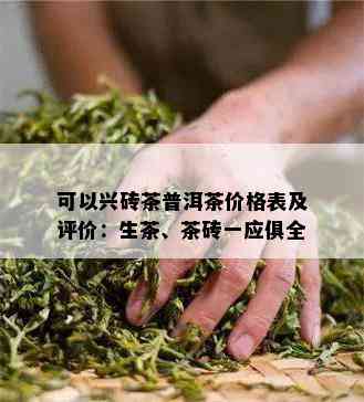 可以兴砖茶普洱茶价格表及评价：生茶、茶砖一应俱全