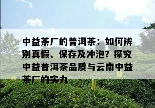 中益茶厂的普洱茶：如何辨别真假、保存及冲泡？探究中益普洱茶品质与云南中益茶厂的实力