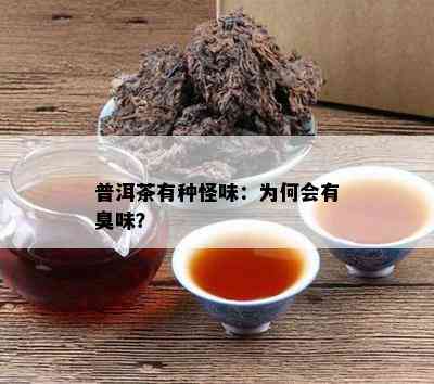 普洱茶有种怪味：为何会有臭味？