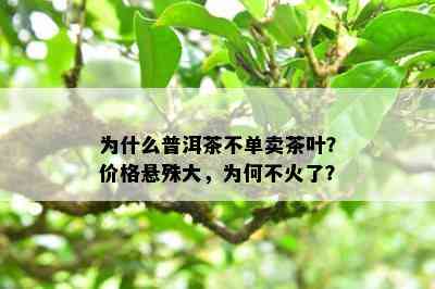 为什么普洱茶不单卖茶叶？价格悬殊大，为何不火了？