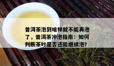 普洱茶泡到啥样就不能再泡了，普洱茶冲泡指南：如何判断茶叶是否还能继续泡？