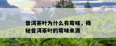 普洱茶叶为什么有霉味，揭秘普洱茶叶的霉味来源