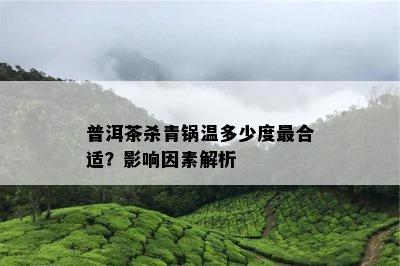 普洱茶杀青锅温多少度最合适？影响因素解析