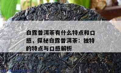 白露普洱茶有什么特点和口感，探秘白露普洱茶：独特的特点与口感解析