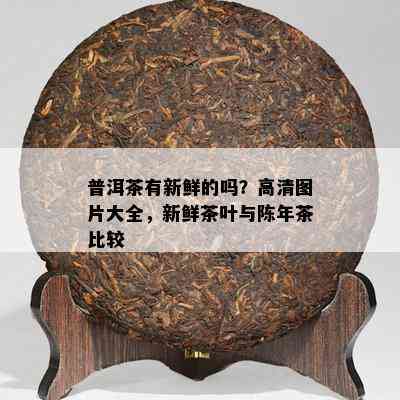 普洱茶有新鲜的吗？高清图片大全，新鲜茶叶与陈年茶比较