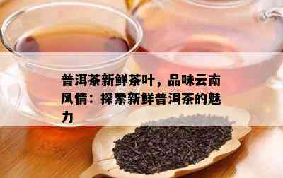 普洱茶新鲜茶叶，品味云南风情：探索新鲜普洱茶的魅力