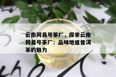 云南同昌号茶厂，探索云南同昌号茶厂：品味地道普洱茶的魅力