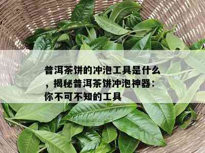 普洱茶饼的冲泡工具是什么，揭秘普洱茶饼冲泡神器：你不可不知的工具