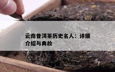 云南普洱茶历史名人：详细介绍与典故