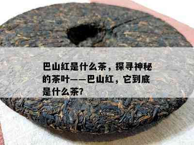 巴山红是什么茶，探寻神秘的茶叶——巴山红，它到底是什么茶？