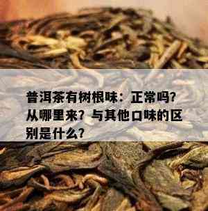 普洱茶有树根味：正常吗？从哪里来？与其他口味的区别是什么？