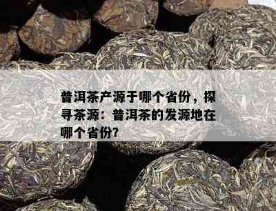 普洱茶产源于哪个省份，探寻茶源：普洱茶的发源地在哪个省份？