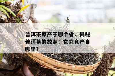 普洱茶原产于哪个省，揭秘普洱茶的故乡：它究竟产自哪里？