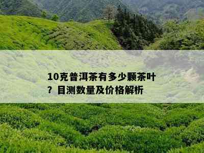 10克普洱茶有多少颗茶叶？目测数量及价格解析