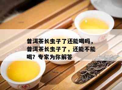 普洱茶长虫子了还能喝吗，普洱茶长虫子了，还能不能喝？专家为你解答