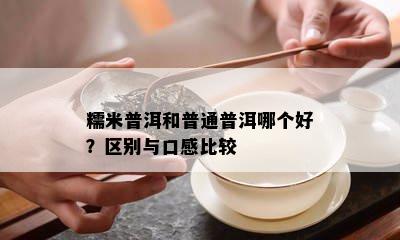 糯米普洱和普通普洱哪个好？区别与口感比较