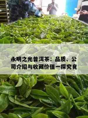 永明之光普洱茶：品质、公司介绍与收藏价值一探究竟