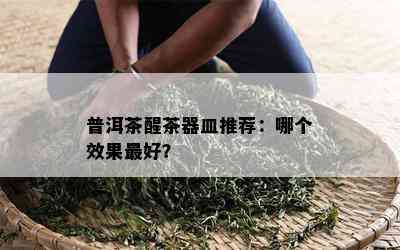 普洱茶醒茶器皿推荐：哪个效果更好？