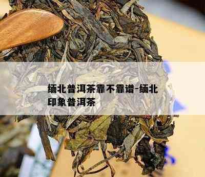 缅北普洱茶靠不靠谱-缅北印象普洱茶